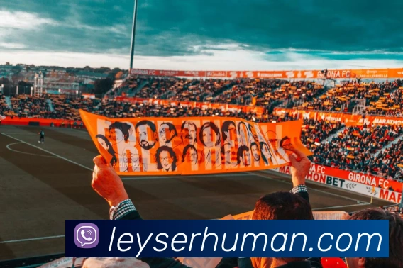 App 展示图